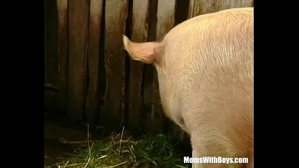 Big Brunette Lady Farmer Hairy Pussy Barn Fucked mega Videos