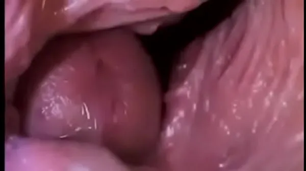 Große Dick in einer VaginaMega-Videos