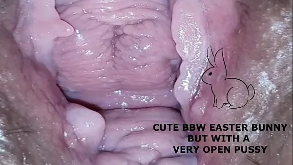 대형 Cute bbw bunny, but with a very open pussy 메가 동영상