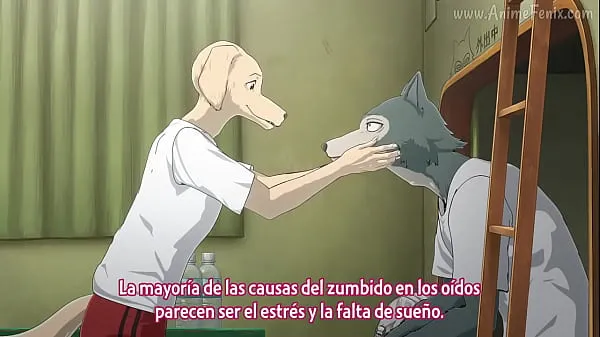 Grandi BEASTARS Temp 2 Eps 1 Sub españolmega video