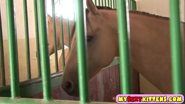 大きな かわいい自慰行為の馬のライダー メガ動画