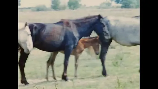 Grandi Nudi maschili - 1954 [003mega video